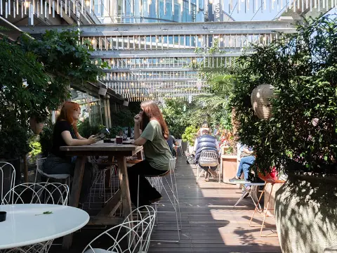 Hiltl Dachterrasse – Rooftop in Zürich